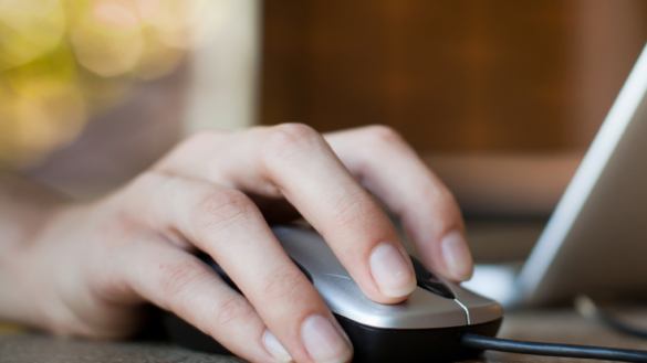 Lätt att luras av ohederliga sajter